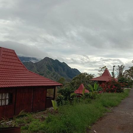 Bajawa Home Stay Wolokoro Ecotourism מראה חיצוני תמונה