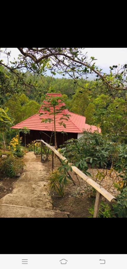 Bajawa Home Stay Wolokoro Ecotourism מראה חיצוני תמונה
