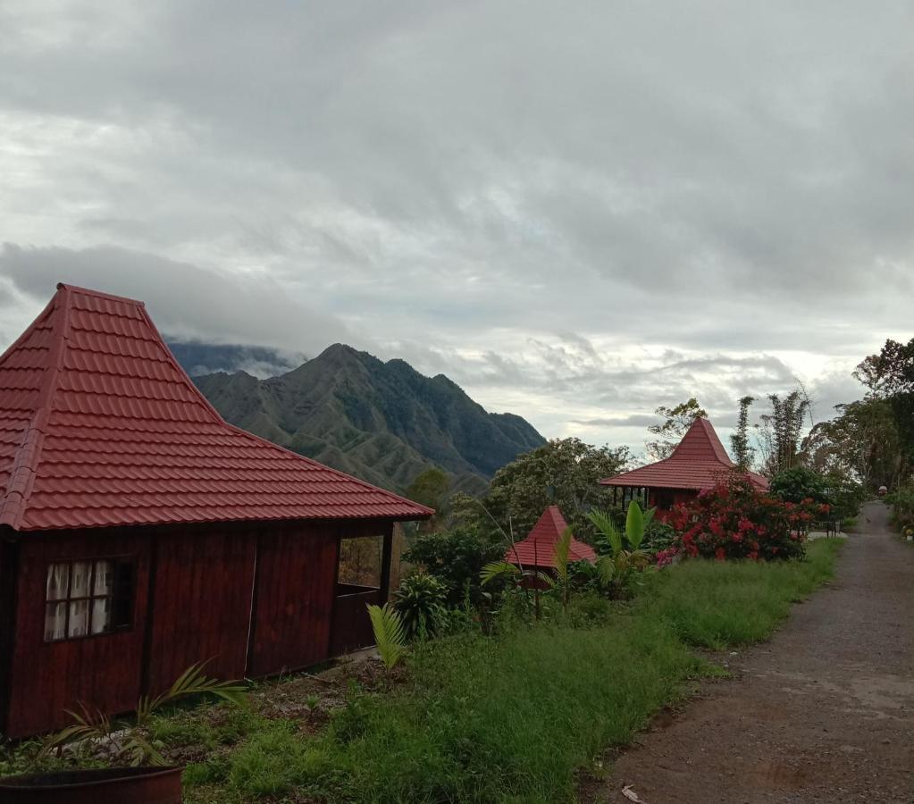 Bajawa Home Stay Wolokoro Ecotourism מראה חיצוני תמונה