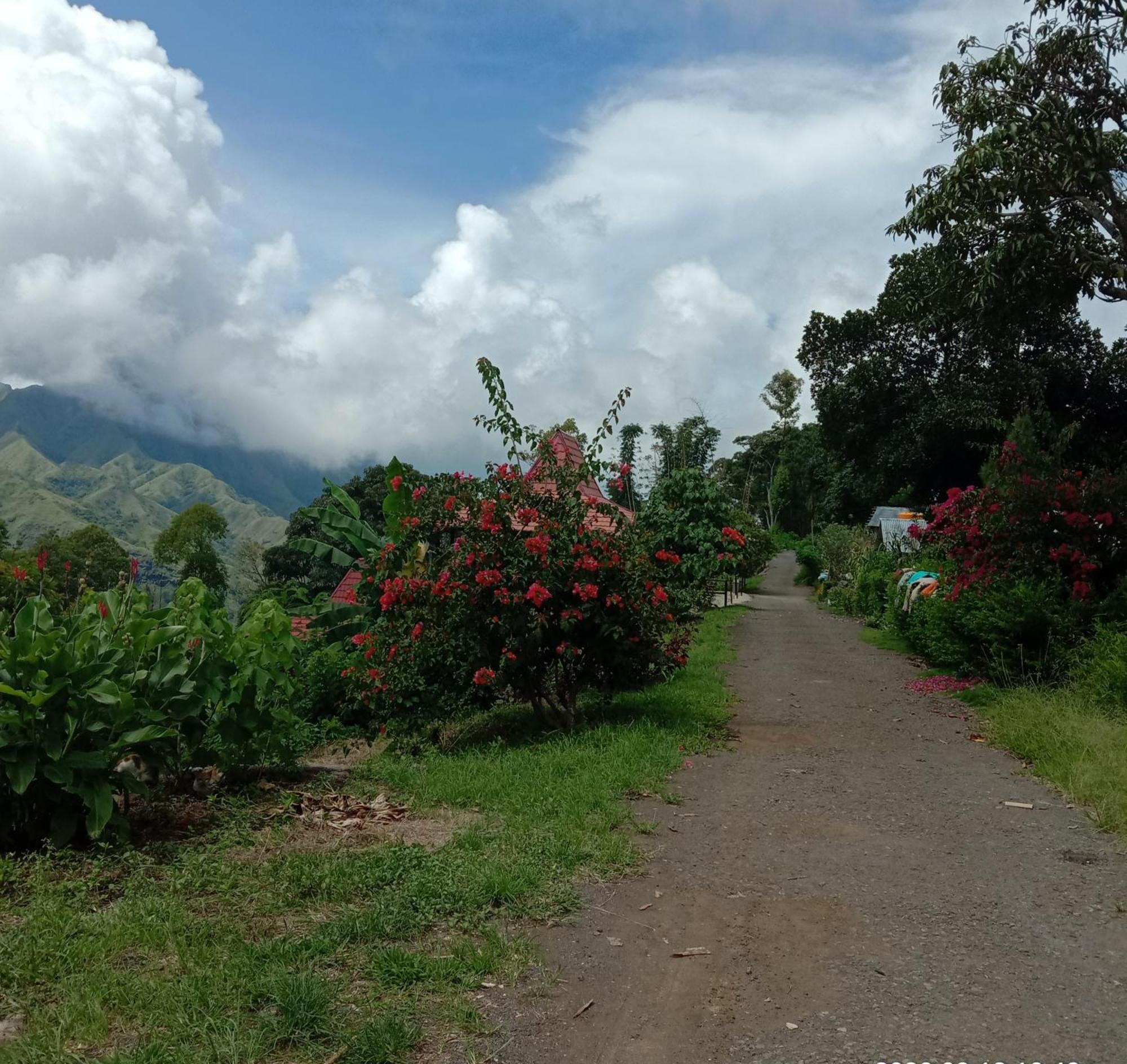 Bajawa Home Stay Wolokoro Ecotourism חדר תמונה
