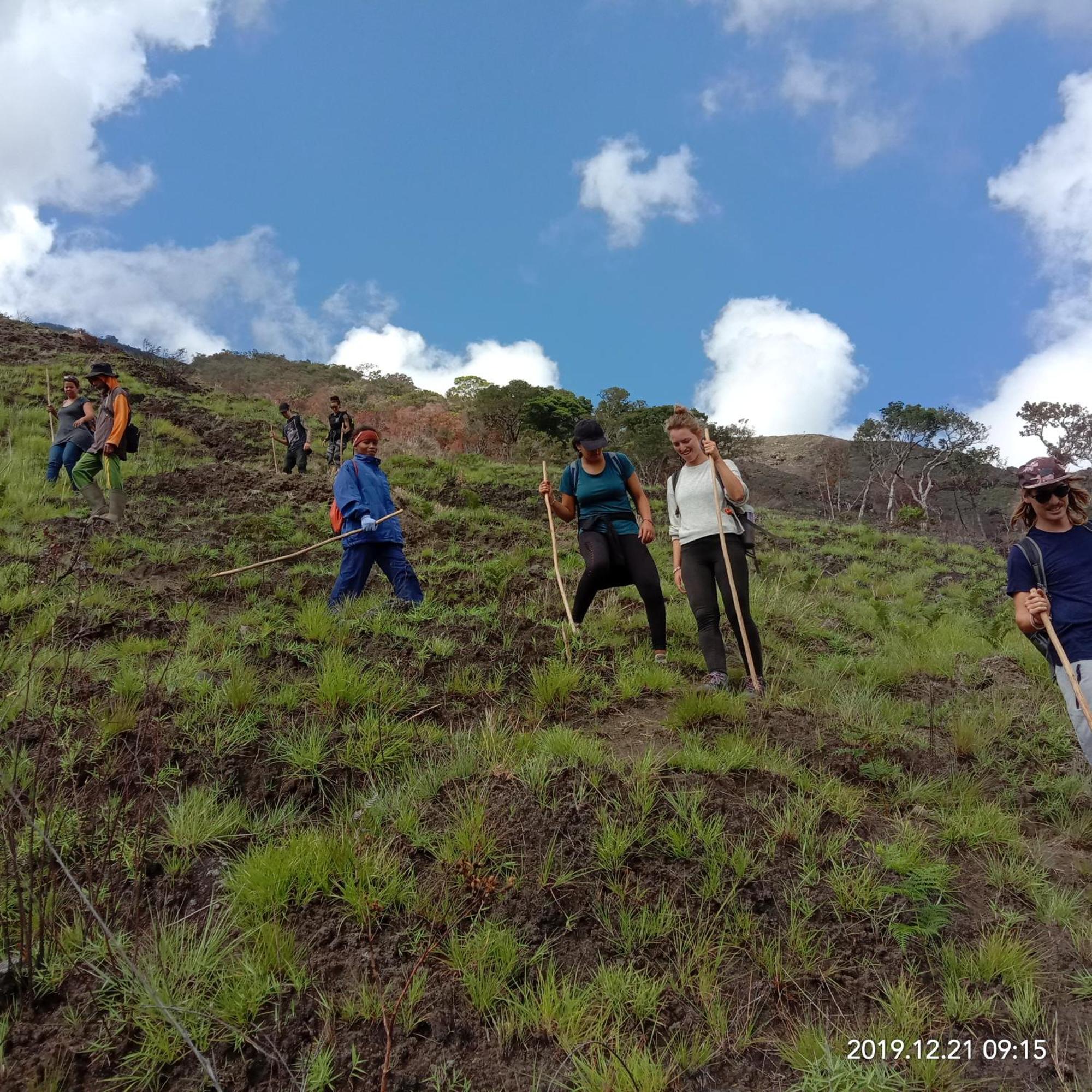 Bajawa Home Stay Wolokoro Ecotourism חדר תמונה